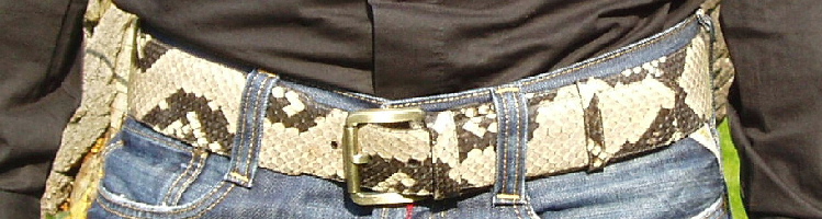 Python Snakeskin Belts